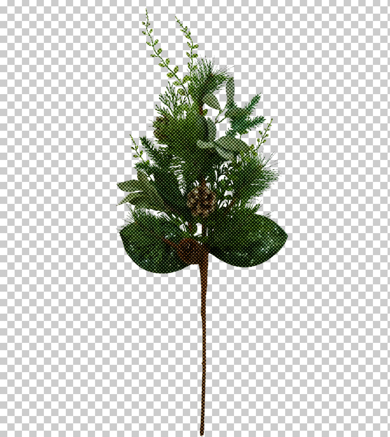 Artificial Flower PNG, Clipart, American Larch, Anthurium, Artificial Flower, Branch, Fir Free PNG Download