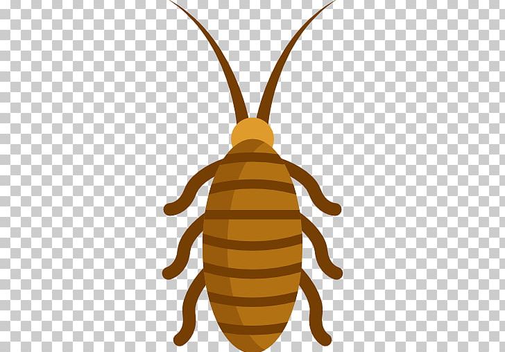 Bee Cockroach In Phone Insect Computer Icons PNG, Clipart, Animal, Arthropod, Bee, Blattodea, Bug Free PNG Download