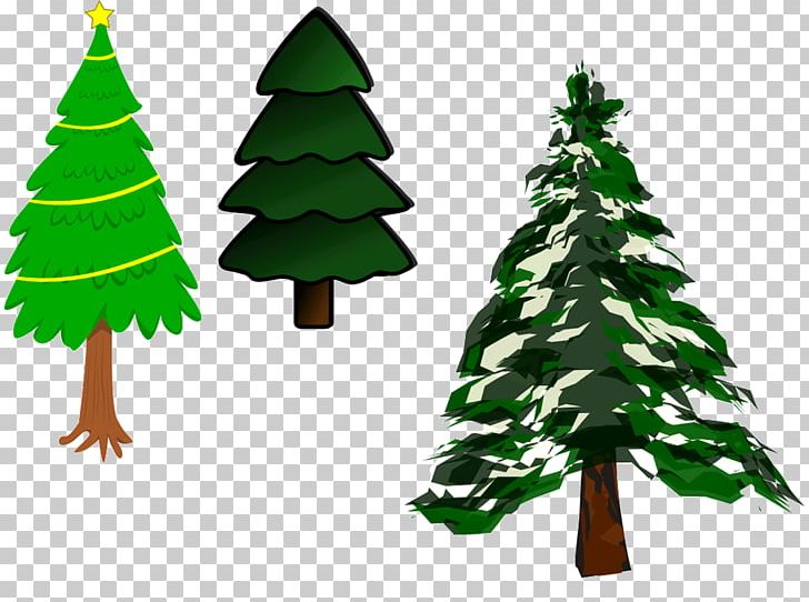Christmas Tree Pine Siguatepeque Bilingual Christian School PNG, Clipart, Christmas, Christmas Decoration, Christmas Ornament, Christmas Tree, Conifer Free PNG Download