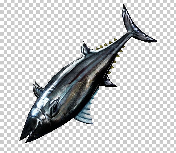 Thunnus Mackerel Shark Swordfish Oily Fish PNG, Clipart, Animals, Bonito, Bony Fish, Dolphin, Fin Free PNG Download