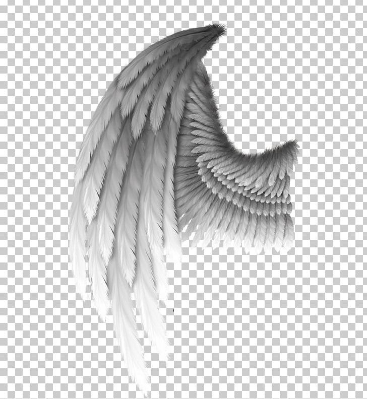 Angel PNG, Clipart, Ala, Angel, Art Angel, Black And White, Clip Art Free PNG Download