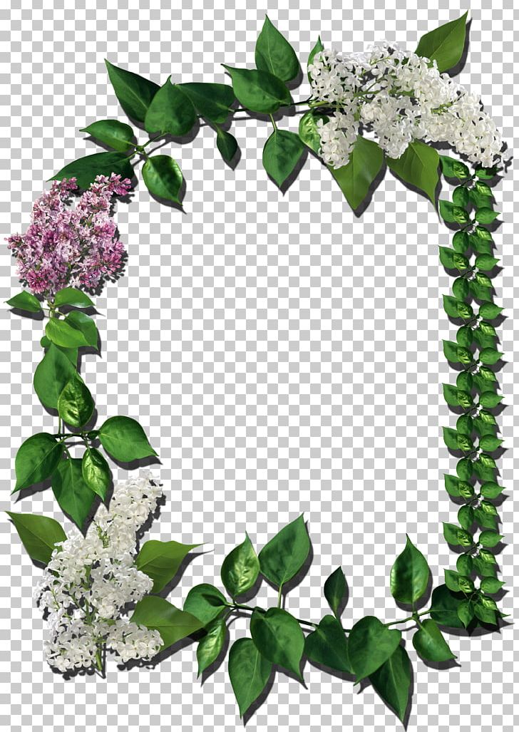 Frames Flower PNG, Clipart, Desktop Wallpaper, Dots Per Inch, Download, Flower, Layers Free PNG Download