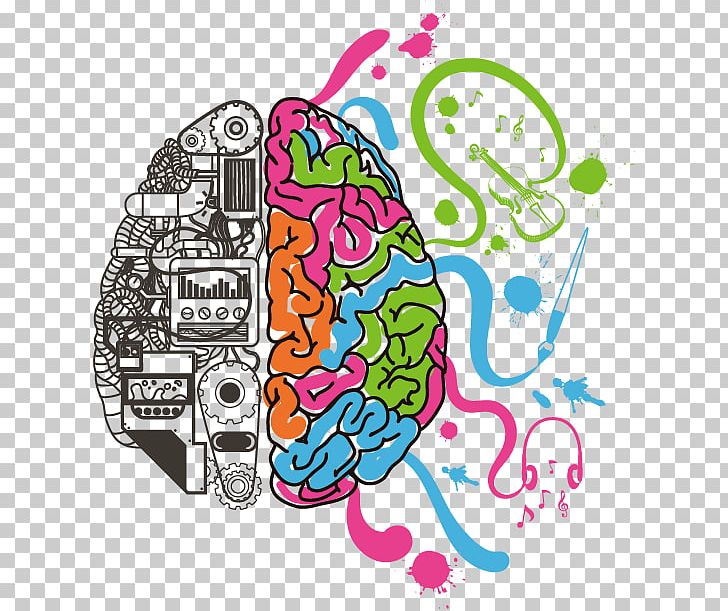 Lateralization Of Brain Function Human Brain Science PNG, Clipart, Area, Art, Brain, Brain Vector, Cerebral Hemisphere Free PNG Download