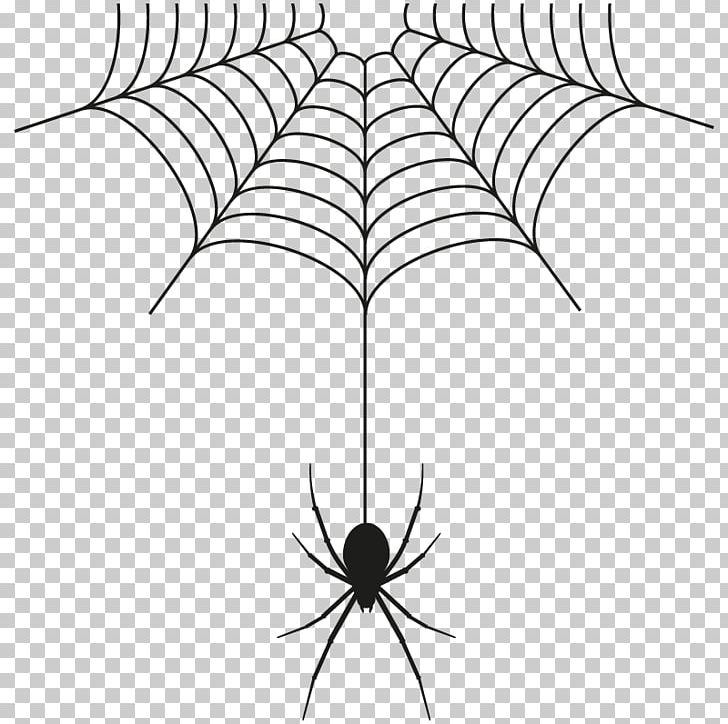 Spider Web PNG, Clipart, Arachnid, Area, Arthropod, Artwork, Black And White Free PNG Download