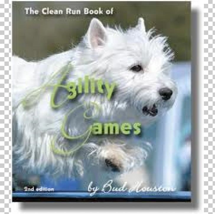 West Highland White Terrier Glen Cairn Terrier Companion Dog Dog Breed PNG, Clipart, Breed, Carnivoran, Companion Dog, Dog, Dog Breed Free PNG Download