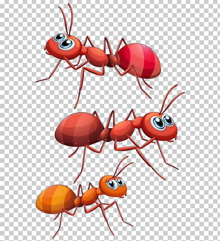 Ant PNG, Clipart, Animals, Ant Cartoon, Ant Line, Ants Vector, Ant Vector Free PNG Download