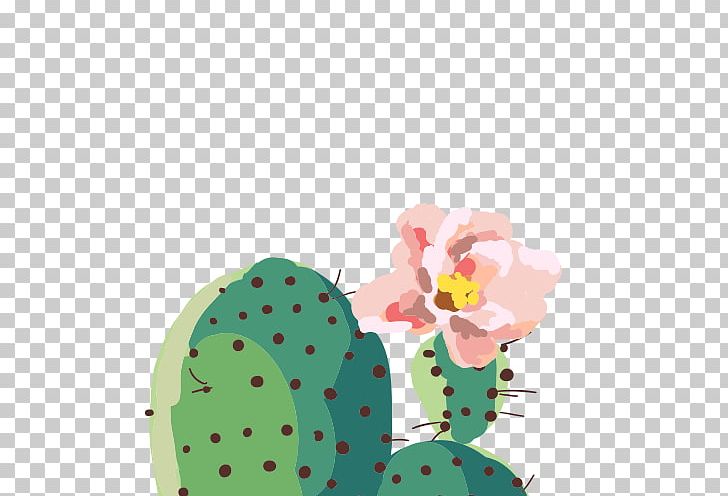 Green Cactaceae PNG, Clipart, Acupuncture, Cactaceae, Cactus, Cactus Cartoon, Cactus Flower Free PNG Download