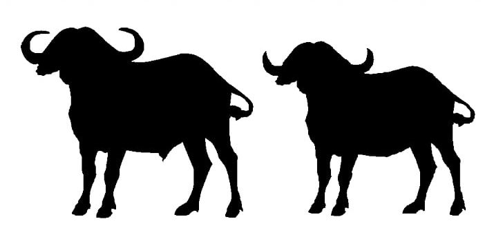 Water Buffalo Scalable Graphics PNG, Clipart, African Buffalo, American Bison, Autocad Dxf, Black, Black And White Free PNG Download
