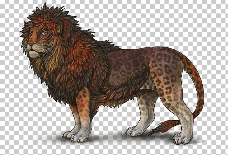 Lion Felidae Leopon Cat Tiger PNG, Clipart, Animal, Animals, Big Cat, Big Cats, Carnivoran Free PNG Download
