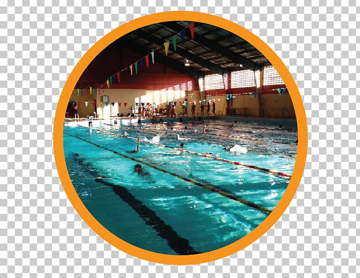 Swimming Pool Sport Natatorium Trujillo Alto PNG, Clipart, Caguas, Fashion, Leisure, Leisure Centre, Natatorium Free PNG Download