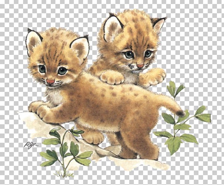Whiskers Cheetah Wildcat Lion PNG, Clipart, Animal, Animals, Art, Big Cat, Big Cats Free PNG Download
