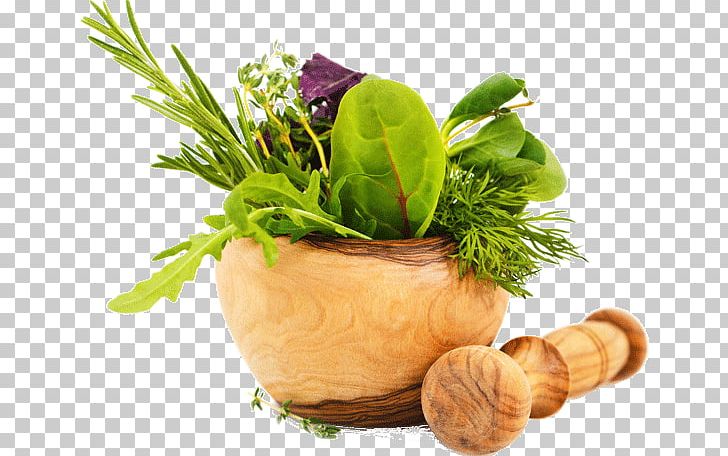 Ayurveda Medicine Herb Health Medicinal Plants PNG, Clipart, Alternative Health Services, Ayurveda, Flowerpot, Food, Healt Free PNG Download