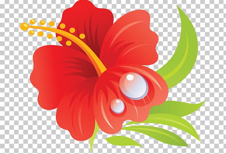 Hawaiian Hibiscus Drawing Shoeblackplant PNG, Clipart, Art, Desktop Wallpaper, Drawing, Flora, Floral Design Free PNG Download