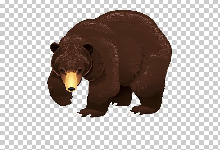 Brown Bear Wildlife PNG, Clipart, Animal, Animals, Bear, Brown Bear, Carnivoran Free PNG Download