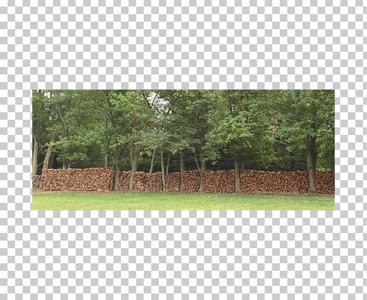 Fence Property Land Lot Pasture Tree PNG, Clipart, Area, Fence, Grass, Land Lot, Landscape Free PNG Download