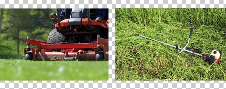 Lawngrass Landscape Maintenance Garden Sod PNG, Clipart, Agriculture, Farm, Field, Garden, Grass Free PNG Download