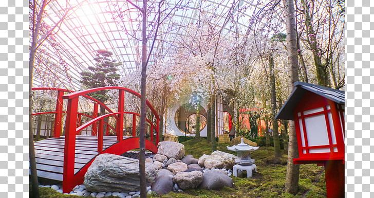 Gardens By The Bay Flower Dome Far East Organization Children's Garden Park PNG, Clipart, 2017, 2018, Blossom, Cherry Blossom, Flower Free PNG Download