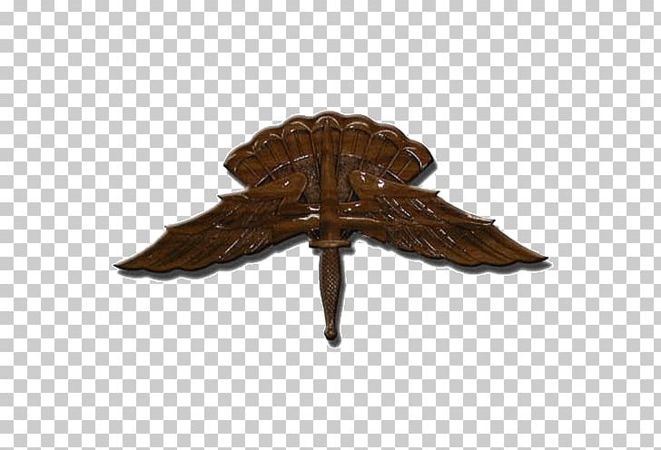 Military Freefall Parachutist Badge High-altitude Military Parachuting PNG, Clipart, Army, Badge, Badges Of The United States Army, Flight, Freefall Free PNG Download