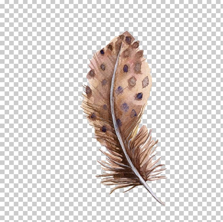 Bird Feather Euclidean PNG, Clipart, Animals, Bird, Brown, Brown Background, Brown Feathers Free PNG Download