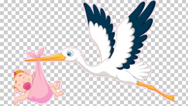 Graphics Illustration Infant Child PNG, Clipart, Art, Beak, Bird, Birth, Cartoon Free PNG Download