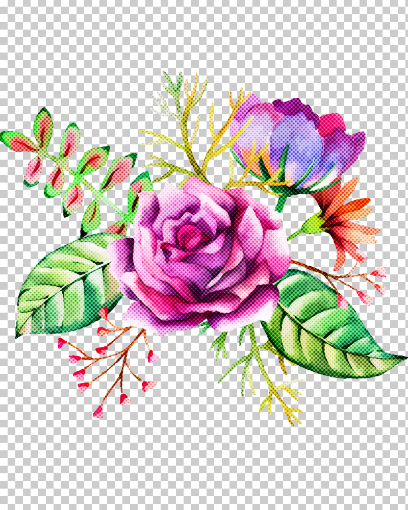 Rose PNG, Clipart, Bouquet, Cut Flowers, Flower, Pink, Plant Free PNG Download