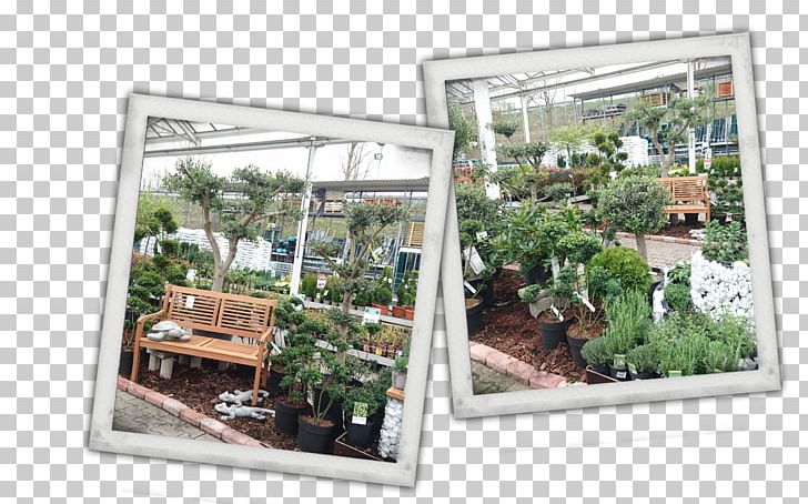 Bauking Hagebaumarkt DIY Store Houseplant PNG, Clipart, Countertop, Diy Store, Hagebau, Houseplant, Ling Free PNG Download