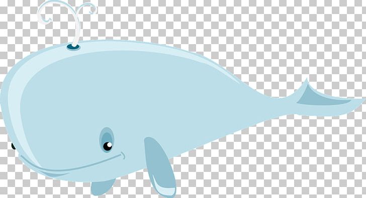Dolphin Whale Porpoise Illustration PNG, Clipart, Angle, Animals, Azure, Blue, Blue Whale Free PNG Download