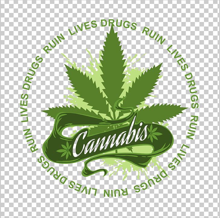 Green Maple Leaf PNG, Clipart, Background Green, Brand, Cannabis, Creative, Drug Free PNG Download