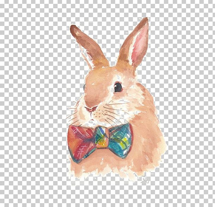 Hare Watercolor Painting Rabbit Drawing PNG, Clipart, Animal, Animals, Art, Bow, Cartoon Free PNG Download