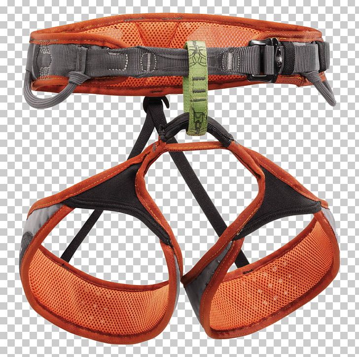 Climbing Harnesses Petzl Rock-climbing Equipment Sport Climbing PNG, Clipart, Belay Rappel Devices, C 21, Carabiner, Climbing, Climbing Harness Free PNG Download