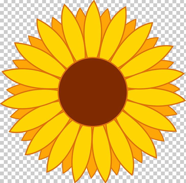 Common Sunflower PNG, Clipart, Art, Cartoon, Circle, Clipart, Clip Art Free PNG Download