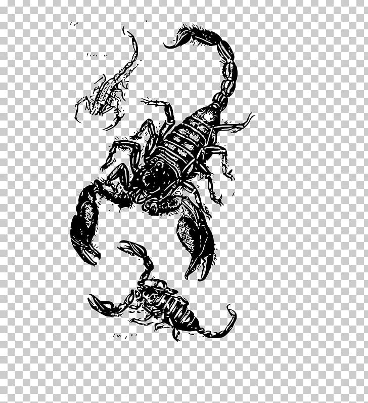 Drawing Scorpion PNG, Clipart, Art, Arthropod, Black And White, Claw, Clip Free PNG Download