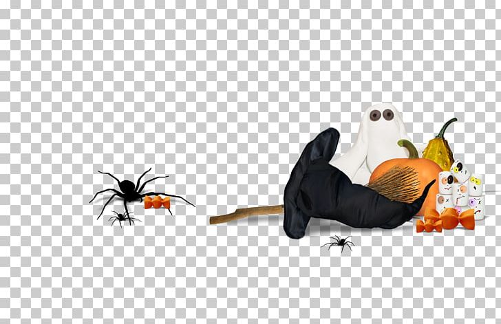 Halloween Pumpkin PNG, Clipart, Art, Beak, Bird, Black, Black Spider Free PNG Download