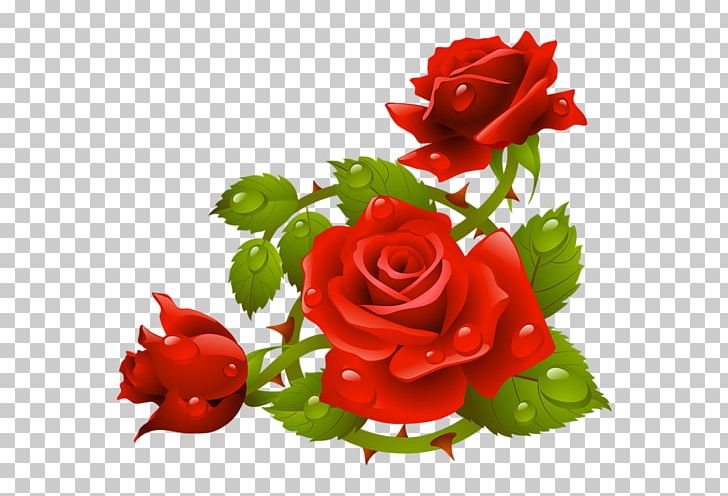Rose Stock Photography PNG, Clipart, Art, Cut Flowers, Floral Design, Floristry, Flower Free PNG Download