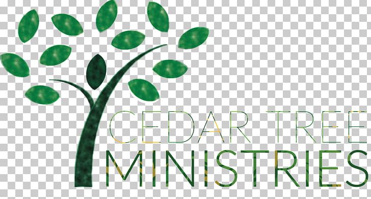 Spiritual Direction Logo Brand Leaf Spirituality PNG, Clipart, Branch, Brand, Cedar Tree, Centuries, Christianity Free PNG Download