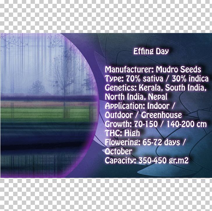 Finite Element Method Seed Journalist Russia Bless Online PNG, Clipart, Advertising, Bless Online, Brand, Cnn, Cultivar Free PNG Download
