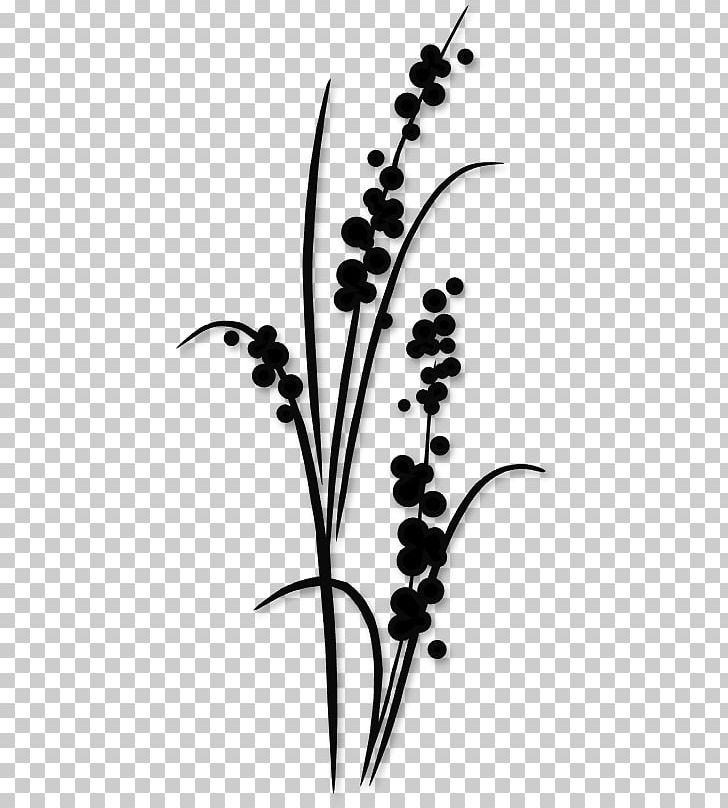 Silhouette Stencil Drawing Flower PNG, Clipart, Art, Black And White, Branch, Drawing, Flora Free PNG Download