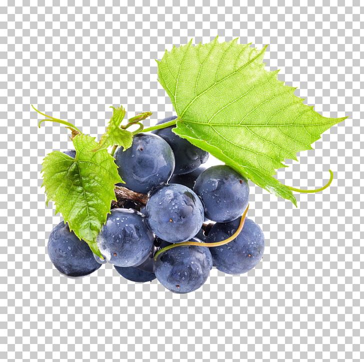 Wine Oolong Grape Seed Extract Proanthocyanidin PNG, Clipart, Berry, Bilberry, Black Grapes, Blueberry, Blueberry Tea Free PNG Download