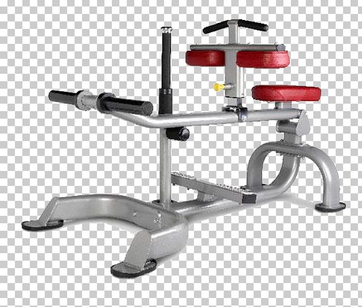 Bench Exercise Equipment Fitness Centre Physical Fitness Calf Raises PNG, Clipart, Angle, Automotive Exterior, Bench, Bench Press, Calf Free PNG Download