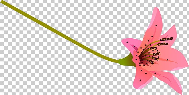 Butterfly Pink M Flowering Plant Plant Stem PNG, Clipart, Butterflies And Moths, Butterfly, Cicek, Flora, Flower Free PNG Download