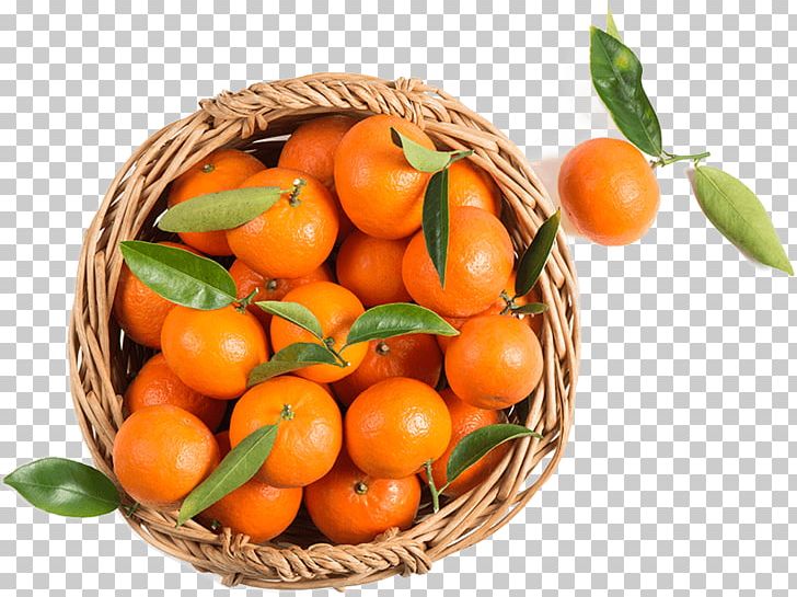 Clementine Mandarin Orange Tangerine Basket PNG, Clipart, Auglis, Basket, Bitter Orange, Citrus, Clementine Free PNG Download