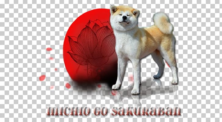 Dog Breed Shiba Inu Puppy Love Akita PNG, Clipart, Akita, Akita Inu, Animals, Breed, Carnivoran Free PNG Download