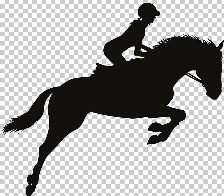 Horse Equestrian Show Jumping PNG, Clipart, Animals, Animal Sports, Black And White, Bridle, Collection Free PNG Download