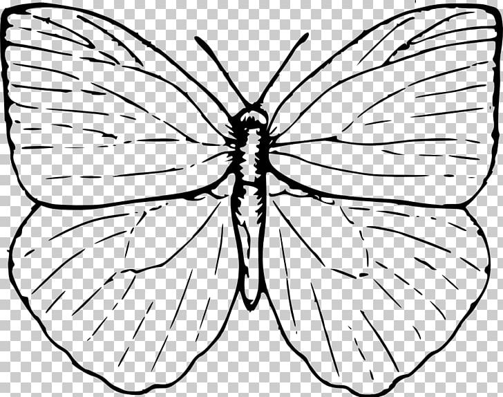 Butterfly Drawing Line Art PNG, Clipart, Art, Arthropod, Artwork, Black And White, Black Butterfly Free PNG Download
