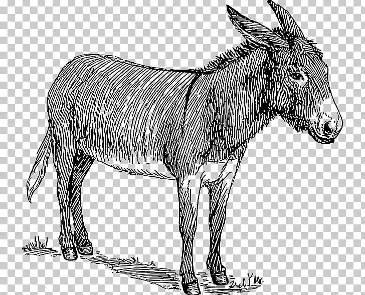 Drawing Donkey PNG, Clipart, Animals, Art, Black And White, Cartoon, Fauna Free PNG Download
