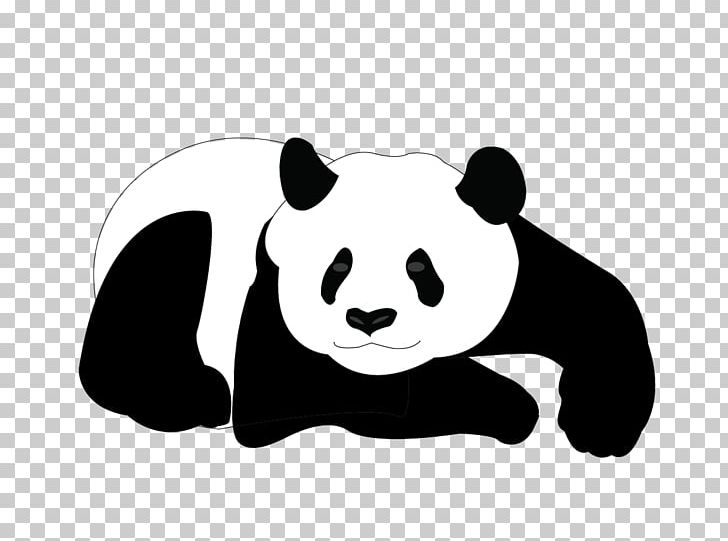 Giant Panda Bear PNG, Clipart, Animals, Balloon Cartoon, Bear, Black, Black And White Free PNG Download