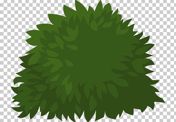 Shrub Tree Plant PNG, Clipart, Box, Clip Art, Grass, Green, Leaf Free PNG Download