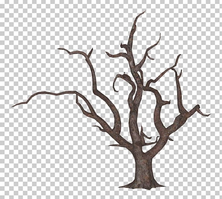 Tree Woody Plant Branch Quercus Nigra PNG, Clipart, Black And White, Branch, English Oak, Flower, Flowering Plant Free PNG Download