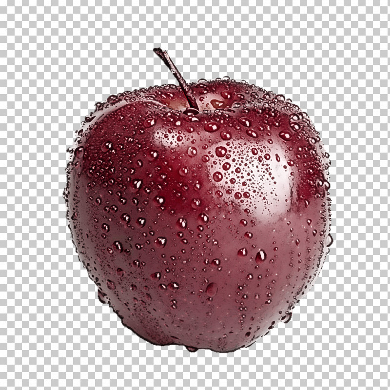 Fruit Apple Apple PNG, Clipart, Apple, Fruit Free PNG Download