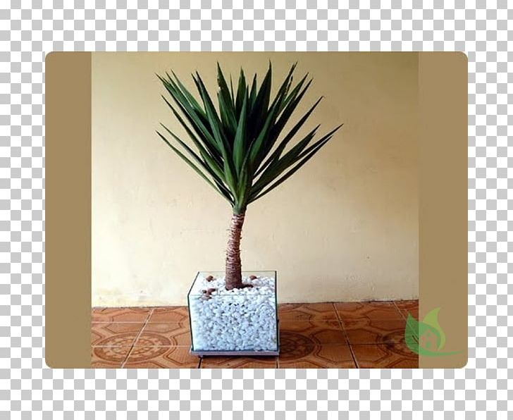 Arecaceae Flowerpot Vase Cachepot Plant PNG, Clipart, Arecaceae, Arecales, Cachepot, Cucurbitaceae, Flowerpot Free PNG Download